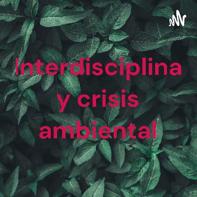 Crisis ambiental