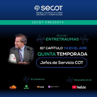 Jefes de servicio COT