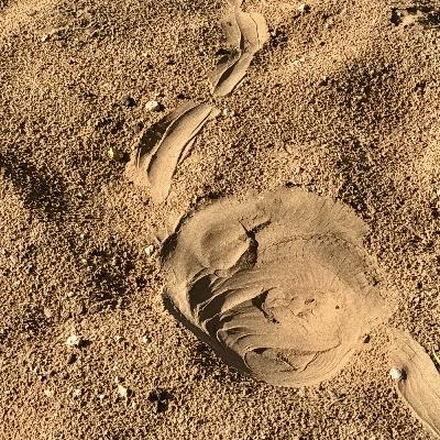 Traces in the sand