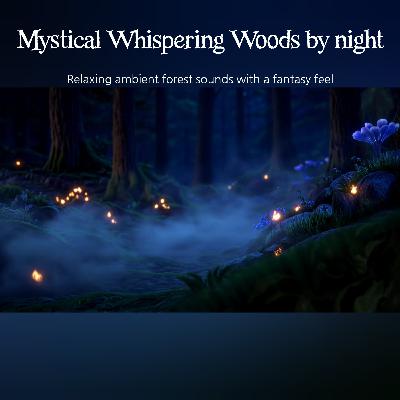 🎧Mystical Whispering Woods by night