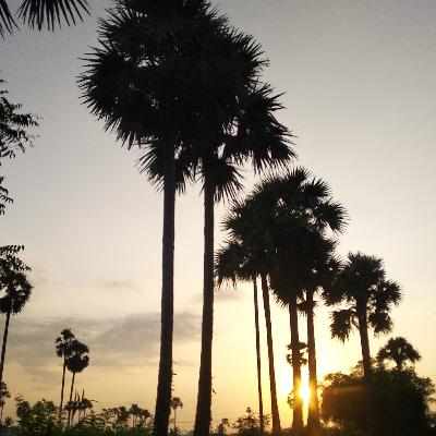 கவலை அவசியமற்றது