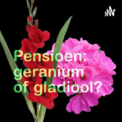 41. In gesprek met Liliane Maes: "Het was toch wel even een hele dobber" (vervroegd met pensioen gaan) 41. In gesprek met Liliane Maes: "Het was toch wel even een hele dobber" (vervroegd met pensioen gaan)