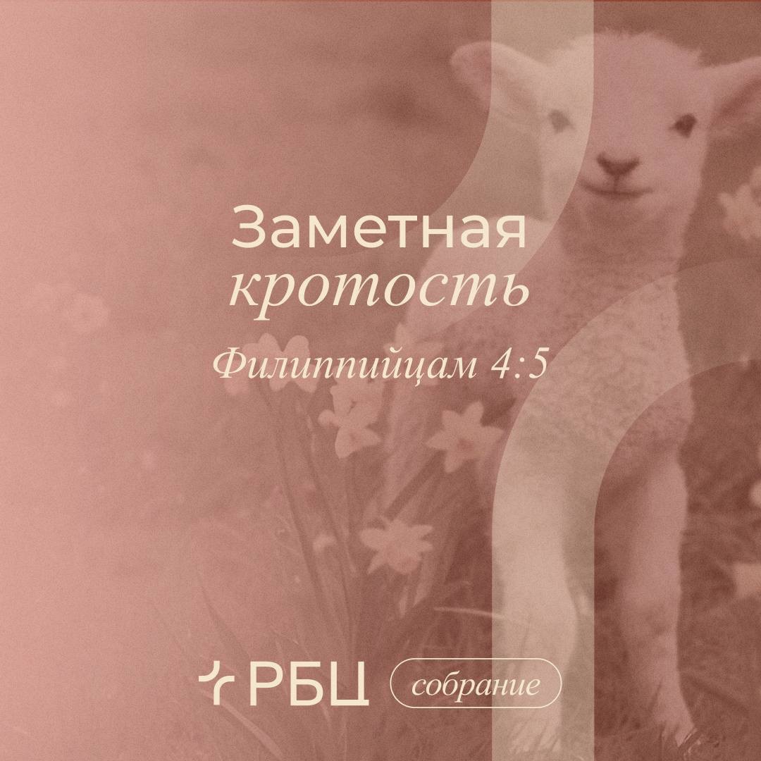 Заметная кротость Заметная кротость