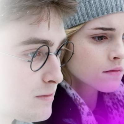 To Ship or Not to Ship?