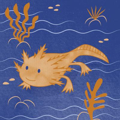 ¿Conoces al axolotl mexicano?