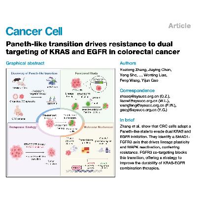 327-Paneth 样转变驱动结直肠癌双靶向耐药