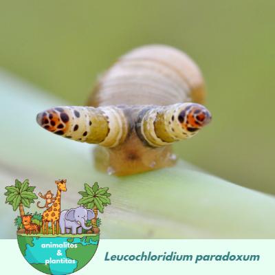 EP22 Los zombis de la naturaleza