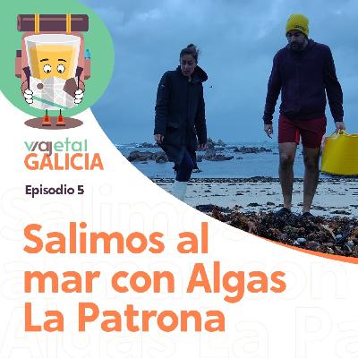 5. Salimos al mar a recolectar algas