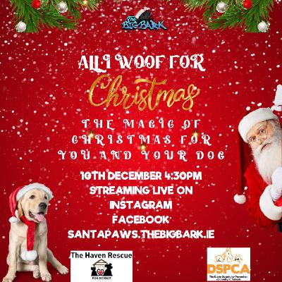 The Big Bark - Episode #73 - All I woof for Christmas 2023