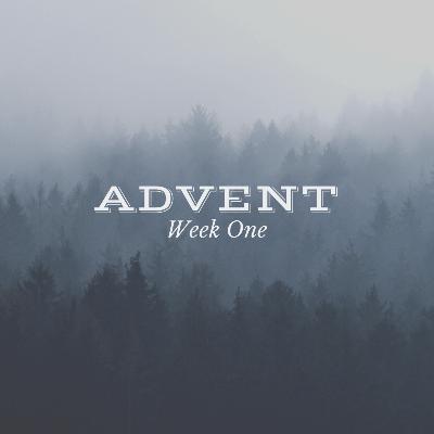 Do You See What I See?