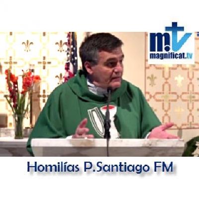 La Humildad hace posible la Fe. Homilia domingo 5/10/2025, P. Santiago Martín FM
