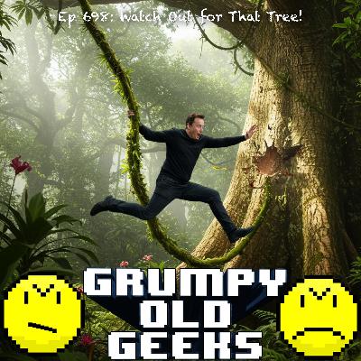 698: Watch Out for That Tree!