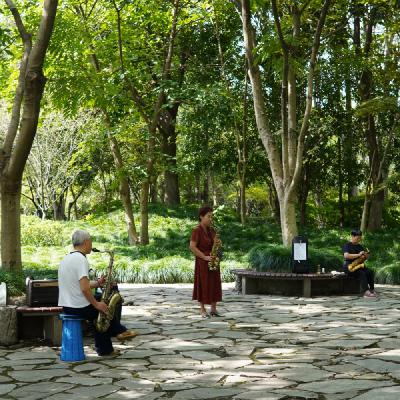 029 对工作说不（下）｜“告诉我，你打算如何对待你那狂野而宝贵的生命？”