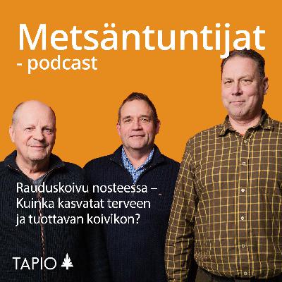 Rauduskoivu nosteessa – Kuinka kasvatat terveen ja tuottavan koivikon? Rauduskoivu nosteessa – Kuinka kasvatat terveen ja tuottavan koivikon?
