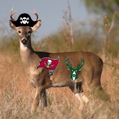 Buck Buc Goose Buck Buc Goose