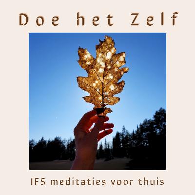Meditatie - Geschenk van Zelf aan een deel Meditatie - Geschenk van Zelf aan een deel