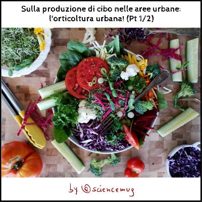 Sulla produzione di cibo nelle aree urbane: l'orticoltura urbana! (Pt 1/2)