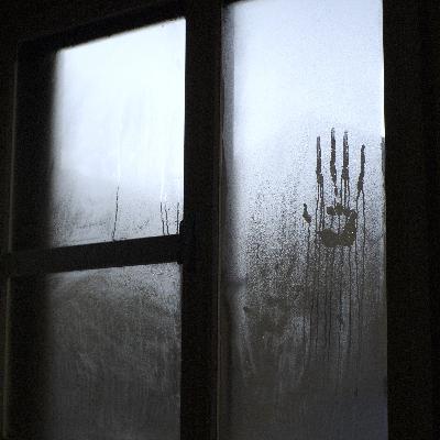 S06 E12: Fear - What Is It, Really, and How Do We Overcome It?