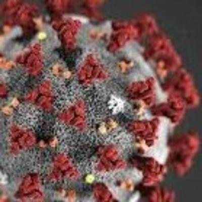 Impactos econômicos do covid-19 no Brasil e no mundo .