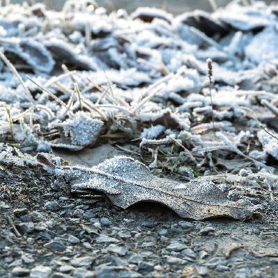 Get ready for a cold snap - Carlow Weather update