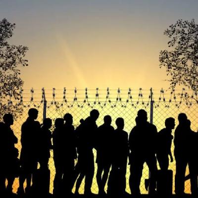 137. Las Pájaras Nómadas: Expectativas 137. Las Pájaras Nómadas: Expectativas