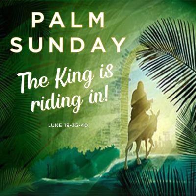 PALM SUNDAY The King Is Riding In!