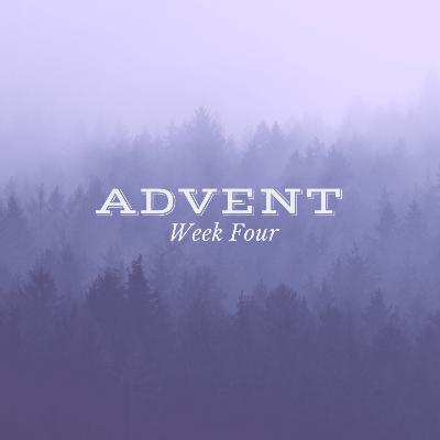 Jesus; the Righteous Branch, Prince of Peace