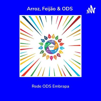 # ODS 5 - Igualdade de Gênero