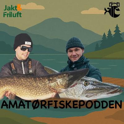 Episode 46 - Gjeddemeite for viderekommende (Gjester: Sondre Breian og Karl Emil Heiland Amundsen)