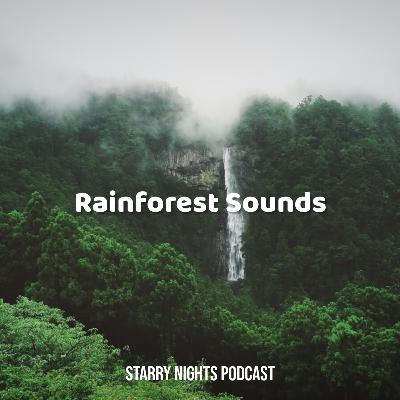 3hrs of Rainforest Soundscape to Help You Sleep, Relax, & Beat Insomnia