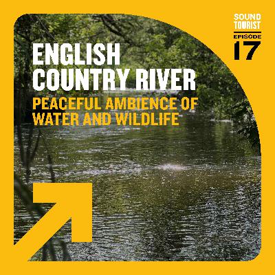 English country stream | Wiltshire
