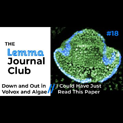 Down and Out in Volvox and Algae // I Could Have Just Read This Paper [18]