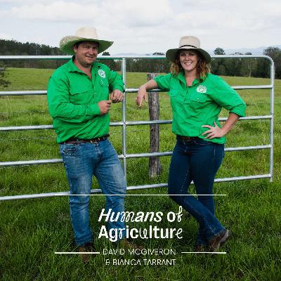 "We started with one steer": how David McGiveron and Bianca Tarrant built mega meat biz Our Cow "We started with one steer": how David McGiveron and Bianca Tarrant built mega meat biz Our Cow