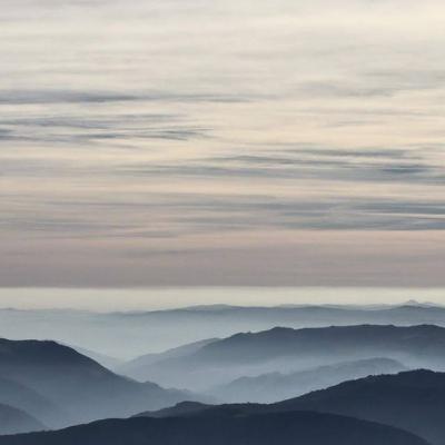 Metodologías de desarrollo de proyectos: PMBok y Lean Startup