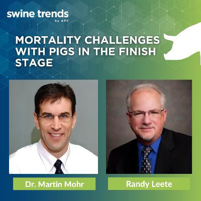 #SHORTS: Mortality challenges with pigs in the finish stage - Dr. Martin Mohr