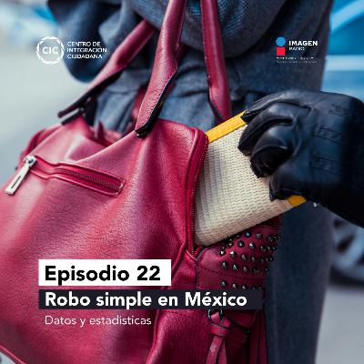 Robo simple en México: datos y estadísticas Robo simple en México: datos y estadísticas