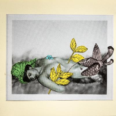 DIECIOCHO - El cuento de Ana 4