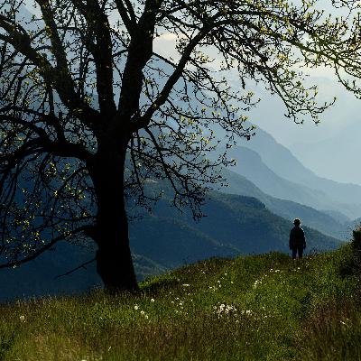 Living in Nature