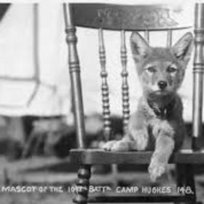 13 - The Timberwolves’ Legacy: Indigenous Contributions in WWI Canada 13 - The Timberwolves’ Legacy: Indigenous Contributions in WWI Canada