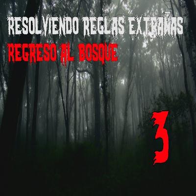 Trabajo resolviendo reglas extrañas - Regreso al bosque - Parte 3