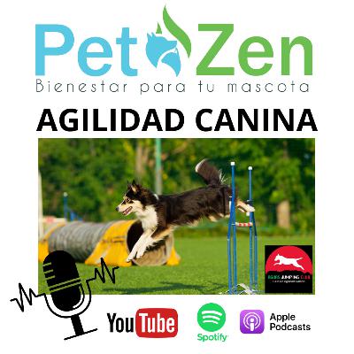 Agilidad Canina un super deporte