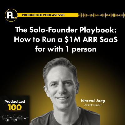 The Solo-Founder Playbook: How to Run a $1M ARR SaaS with 1 person