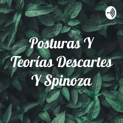 Posturas y teorías descartes y spinoza