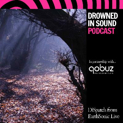 Flying Rivers, Slipknot Swifts & Musical Frogs: Take This Podcast For A Walk In Nature