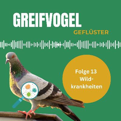 Wildkrankheiten - von Beizvogel, Beizwild und Futtertieren