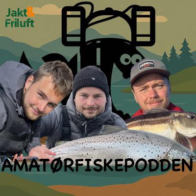 Bonusepisode - På tide at du hører på Toten Amatør
