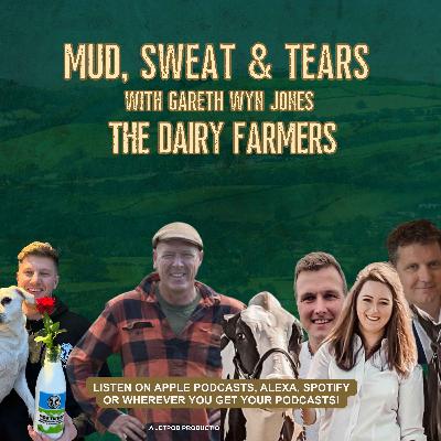 The Dairy Farmers