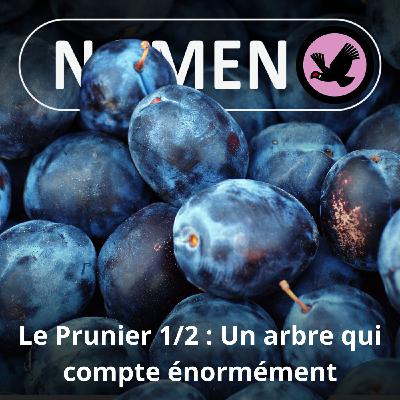 S05E20 Le Prunier... ne compte pas pour des prunes (1/2)