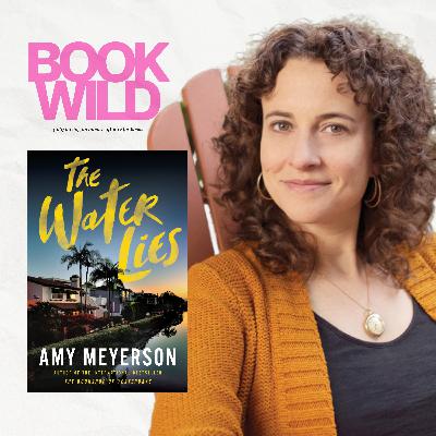 Motherhood, Memory, and Murder: The Water Lies by Amy Meyerson Motherhood, Memory, and Murder: The Water Lies by Amy Meyerson