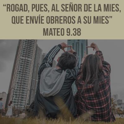 Reflexiones (Episodio 04) - El primer paso para transformar una sociedad [Mateo 9.35-38]